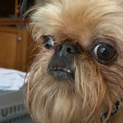 ng7m's profile picture. 