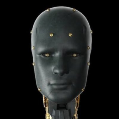 theLocalAI's profile picture. 