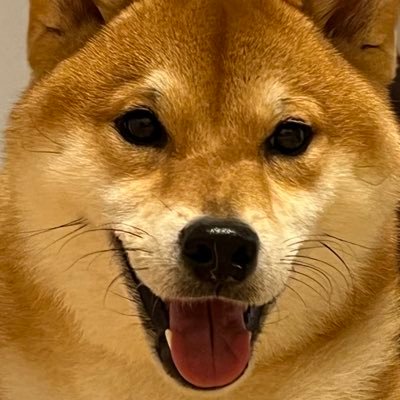 仮面ライダー・スーパー戦隊・ウルトラマン・キン肉マン・ゴジラ・マーベル が好きおじさんです。ジーブラシを独学で練習中!