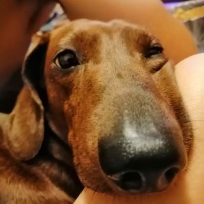 Alexandr_Link's profile picture. Пришел, увидел, а(О)хуел...