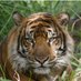 Leah Carter (@leahcarter49539) Twitter profile photo Leah Carter (@leahcarter49539) Twitter profile photo