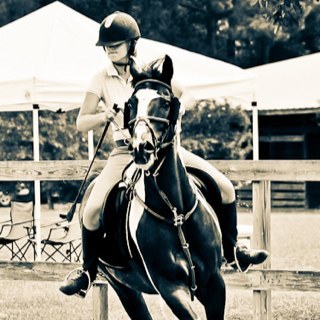 GMLouZ's profile picture. 