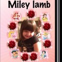 paula lamb - @Paulalamb123 - Twitter