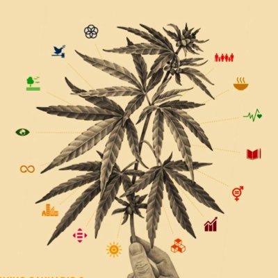 CannabisEmbassy Profile Picture