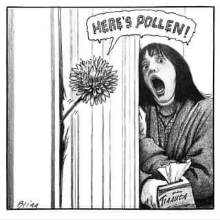 Trying to find that place where Medicine, Allergies, and Baseball meet. #AIMedEd #AllergyTwitter #Allergy #GoBeach #skoBags 🇵🇷