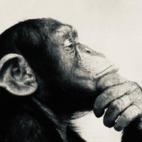 truthache (@truthache68) 's Twitter Profile Photo truthache (@truthache68) 's Twitter Profile Photo