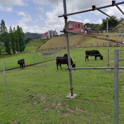 paultewey1234's profile picture. 