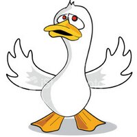 Stephen Duck - @BigDuckbird Twitter Profile Photo