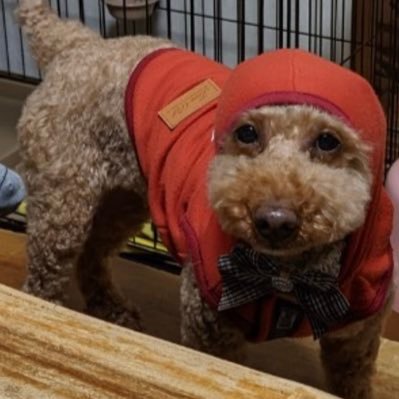 rrrvvv___'s profile picture. R