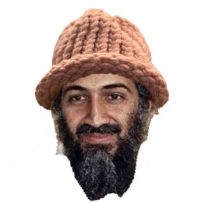 OSAMA WIF Hat. Terrorise banks with crypto. DEBANK the banks. Force them to become illiquid by moving funds to coins like OWIF.