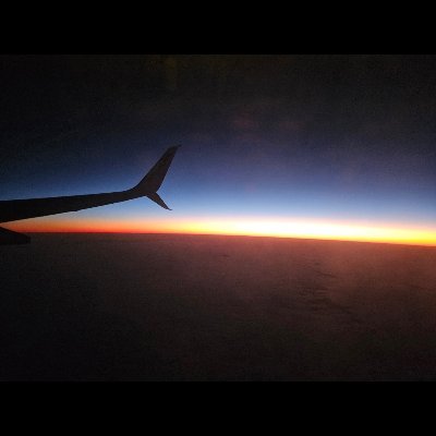 AislingNemo's profile picture. 