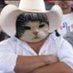 conochedor (@conochedordano) Twitter profile photo conochedor (@conochedordano) Twitter profile photo