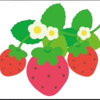 🍓(@kBCpwCbruDnnOTL) 's Twitter Profile Photo