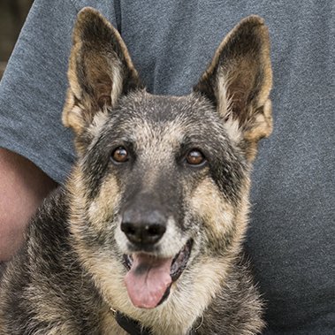 🇺🇸_MAGA_Mozart_🇺🇸 Profile