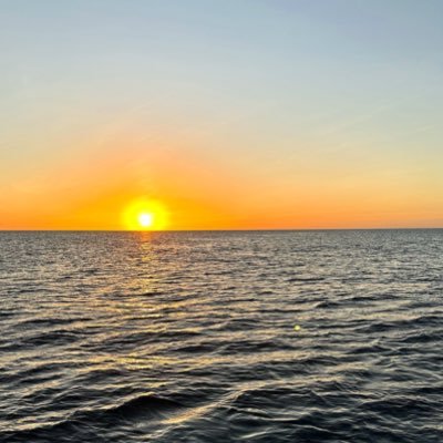 Dividendsrunner's profile picture. 