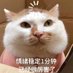 快乐小呆 (@lcbandx) Twitter profile photo 快乐小呆 (@lcbandx) Twitter profile photo
