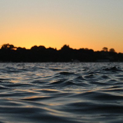 wangye1644294's profile picture. ✨ Prompt Engineer & AI Whisperer
🌹 Romantic | 🔍 Curious
🌍 Longtermist Cosmopolitan
☮️ Peace & 💖 Love Advocate