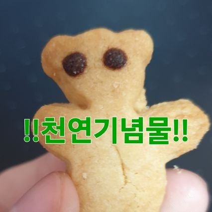 벚꽃(サクラ)さんのプロフィール画像