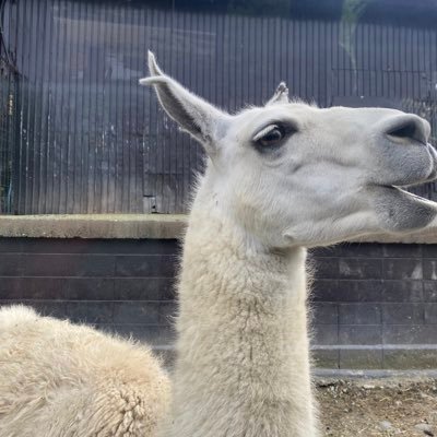 camcam5f's profile picture. 色んな漫画を追ってます