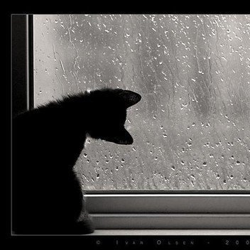 Readbooks_01's profile picture. Share delicious, nutritious food for the soul.
"Chia sẻ những món ăn ngon, bổ dưỡng dành cho tâm hồn."
#goodquote #trichdanhay #docsach #readbook #trending