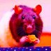 ratazana saturada (@alicepa) Twitter profile photo ratazana saturada (@alicepa) Twitter profile photo