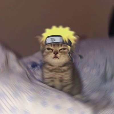 omsaidesai's profile picture. 