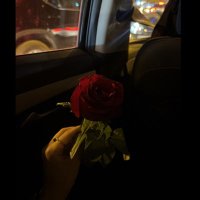. (@malak11_) Twitter profile photo