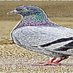 T00NS the (crispy) Pigeon 🧪⚠️ (@t00nsn00t) Twitter profile photo T00NS the (crispy) Pigeon 🧪⚠️ (@t00nsn00t) Twitter profile photo