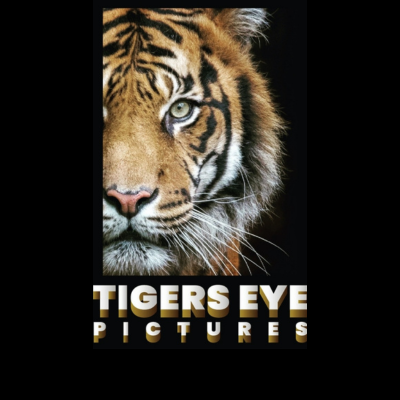 TigersEyePic Profile Picture