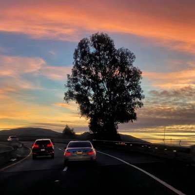 Bxh145525's profile picture. 