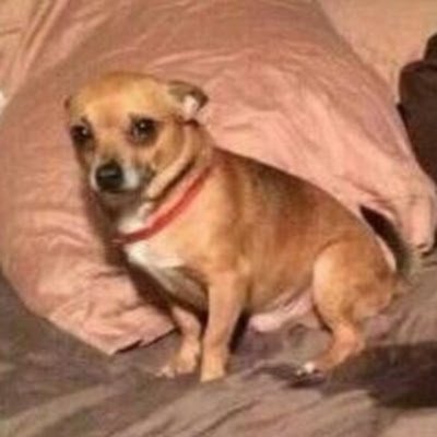 CledisonNa48485's profile picture. 