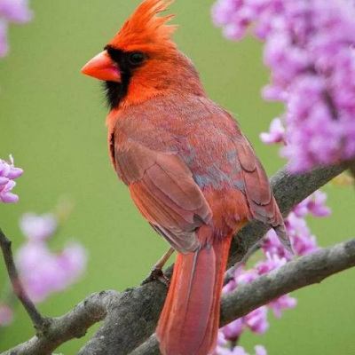 ThanhC67879's profile picture. 