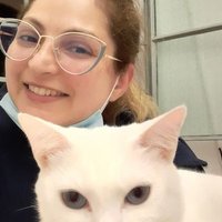 Gisele Lopes (@gikalps) 's Twitter Profile