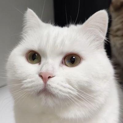 mhLr5x9oPHmegmW's profile picture. 