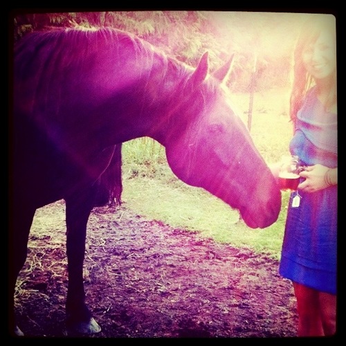Artist. Rider. Maker. Singer.