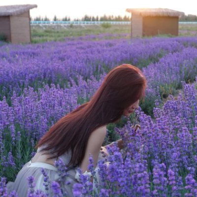 Lavender means waiting for love