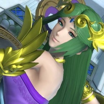 Average Palutena Player