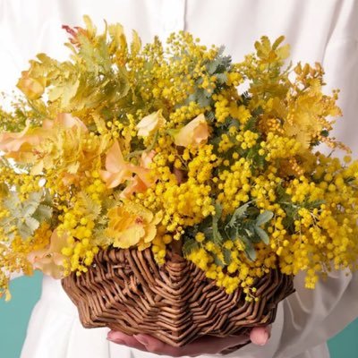 ayumin_kuma's profile picture. フリーランスデザイナー 猫とラジオとお酒が好き 銭湯によく行きます。