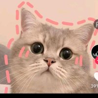 BIGWINFULL (@picknavin) 's Twitter Profile