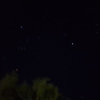 AmaruCaceres2's profile picture. rhcp y divididos