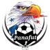 panafut (@panafut507) Twitter profile photo