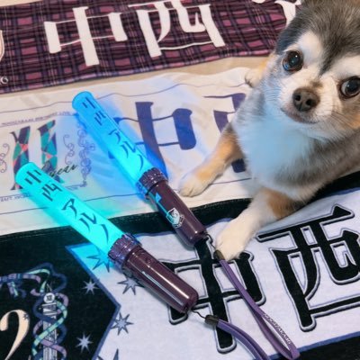 r_in_u's profile picture. ドラムを叩いたり音楽を作ったりしてました🥁チワワのころすけと暮らしてます🐶 中西アルノちゃん🐱 ポケモン/ラーメン/サウナ/ $SHIB 🐕🦴