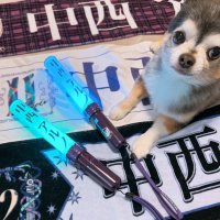 りん🍥 (@r_in_u) 's Twitter Profile Photo りん🍥 (@r_in_u) 's Twitter Profile Photo