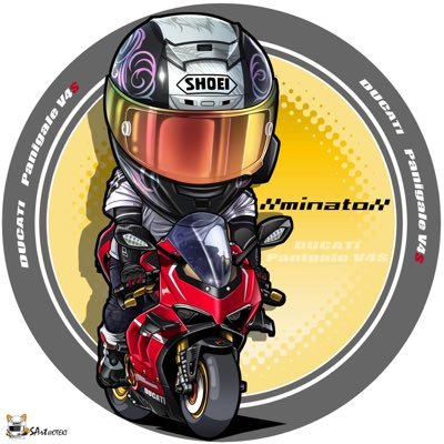 minato911's profile picture. 🇮🇹 DUCATI Panigale V4S 🇯🇵 KAWASAKI Z1000R2