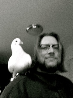 writer of curious stories. chronicler of a wacko dog's exploits. provider of seeds and other foodstuffs to various ungrateful wild birds.