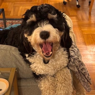 MattJordan7's profile picture. 