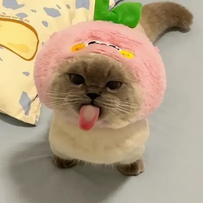 rowenさんのプロフィール画像