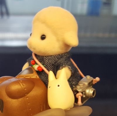 めめ🐑さんのプロフィール画像