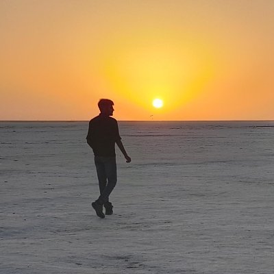 ShafinMurani's profile picture. A wannabe cross-platform developer.
I have a passion for discovering untouched natural gems.
Currently learning rust🦀