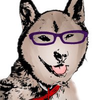 洋介犬(@yohsuken) 's Twitter Profile Photo